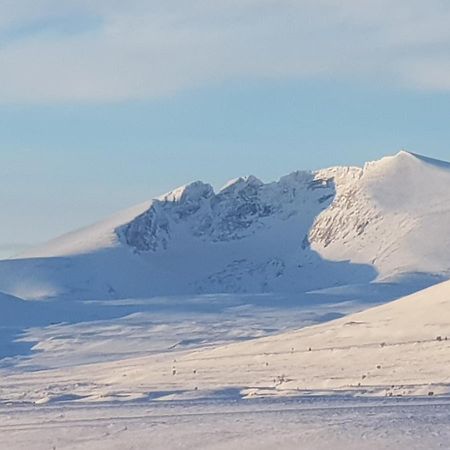 Snohetta Camping Hotell Hjerkinn Exteriör bild